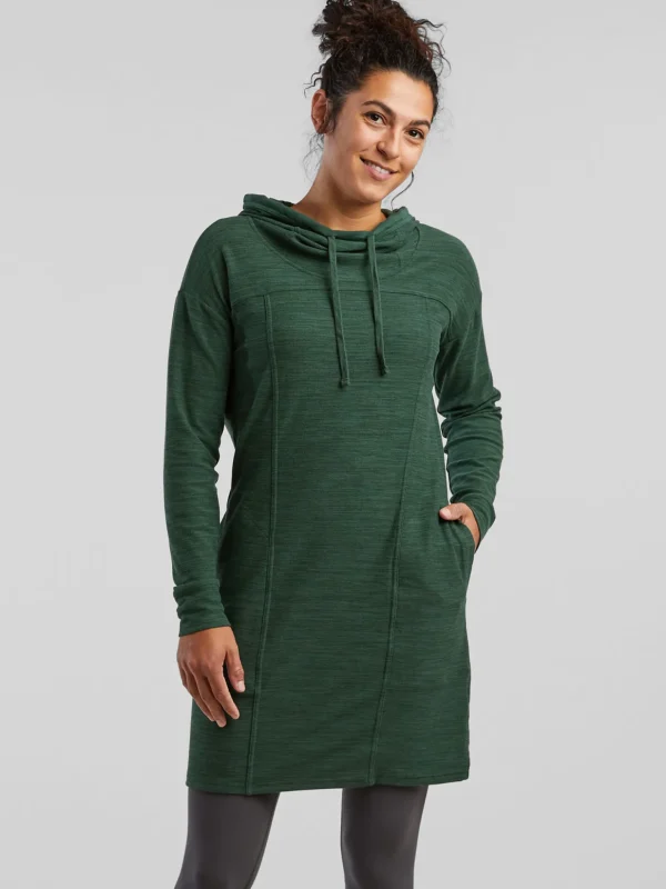 Hibernation Hoodie Dress>Title Nine New